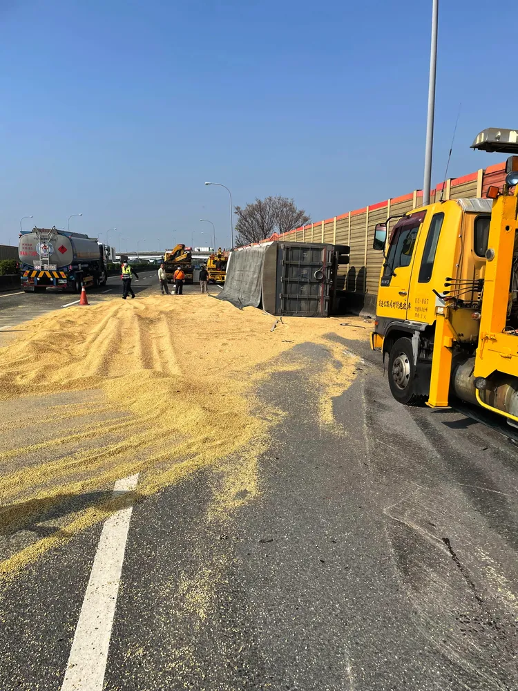 稻米擋道，造成大回堵。讀者提供