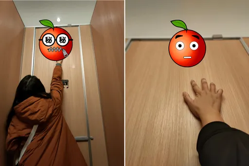 公審百貨廁所掛勾太高!她怨「嘲笑我的包太低配?」 網揭真實功用狠打臉