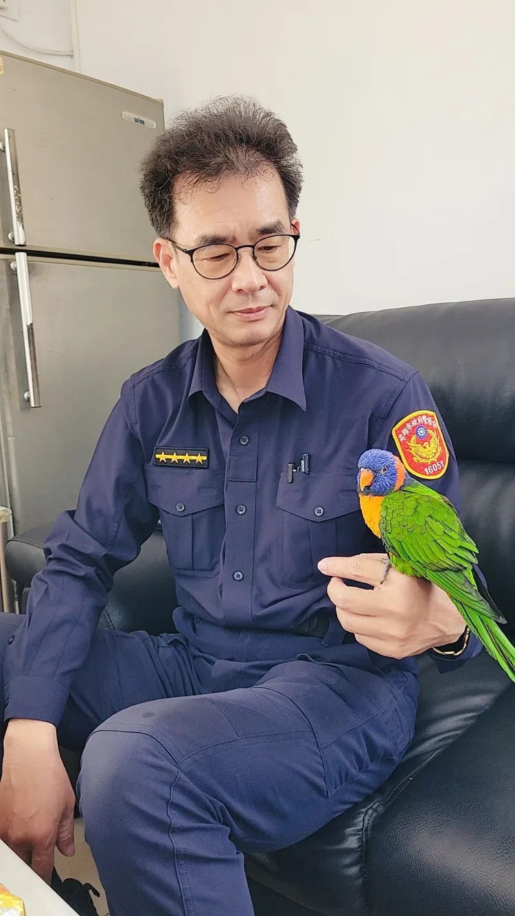 名為「古錐」的吸蜜鸚鵡在派出所內乖巧又黏人，員警都直呼牠好可愛。讀者提供