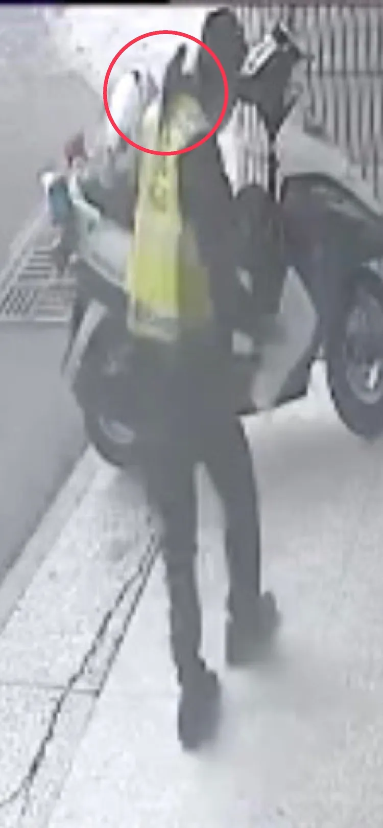 名為「古錐」的吸蜜鸚鵡自己飛抵交警肩膀，隨交警赴派出所「報案」。讀者提供