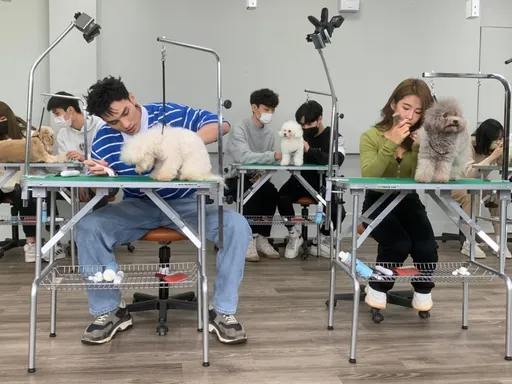 陶晶瑩《哈囉！毛小孩》首度實戰　曹佑寧手忙腳亂黃偉晉被濕身