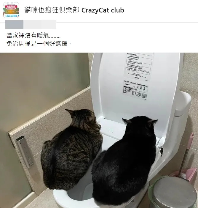 2隻喵星人坐在免治馬桶上。翻攝自臉書社團《貓咪也瘋狂俱樂部 CrazyCat club》
