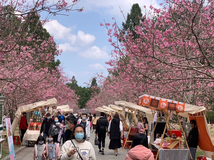 九族文化村今天人潮仍爆滿。業者提供