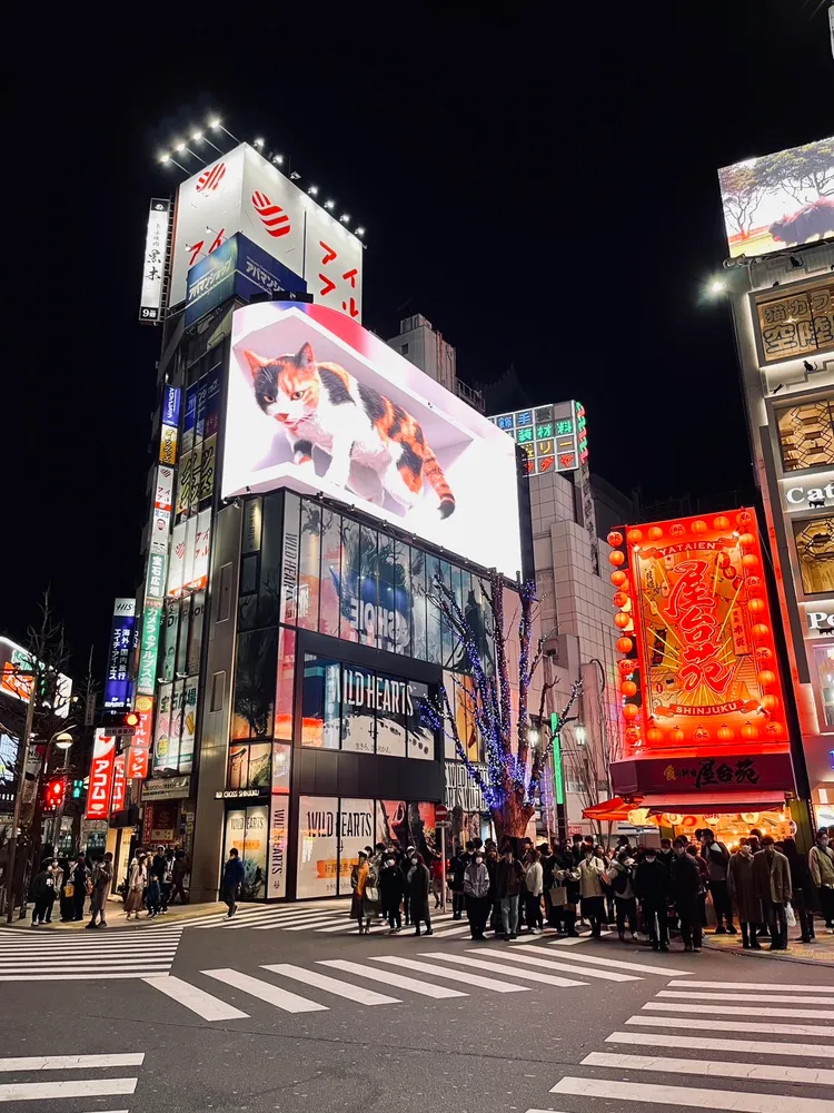 「新宿東口貓咪」巨型廣告電子看板，也是這兩年東京的新熱門打卡景點。李彥初攝