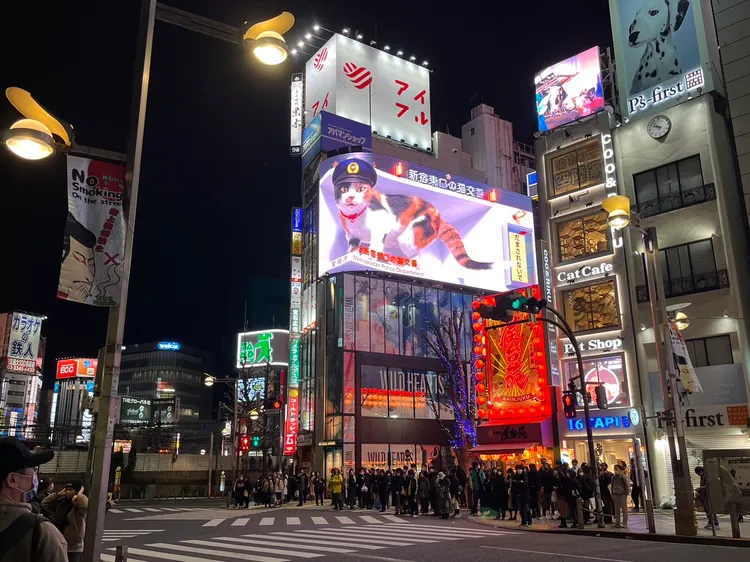 「新宿東口貓咪」就位於新宿車站東口，一出站就能看到。李彥初攝