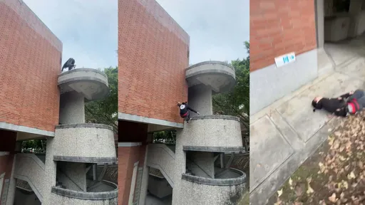 悚！ 台灣跑酷男「3樓失足直墜地」畫面曝　拍攝友人驚呼飆髒話喊Oh No