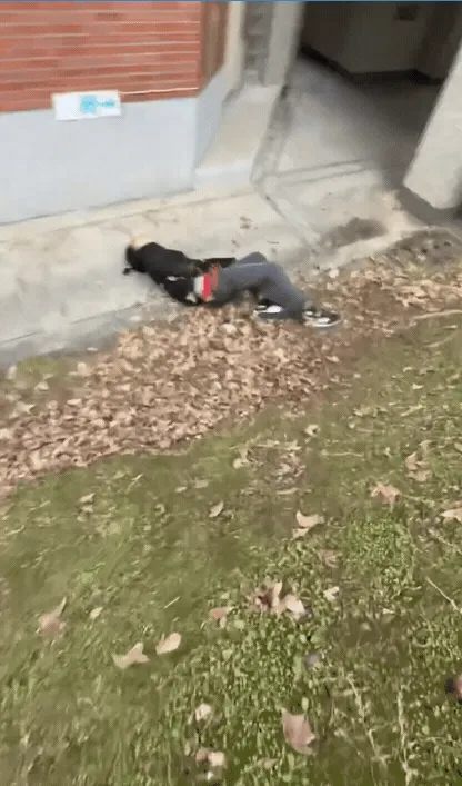 墜落後跑者表情痛苦說不出話，但幸好只有腦震盪，也沒有其他外傷。引自YT頻道：@AntHanshunchuan