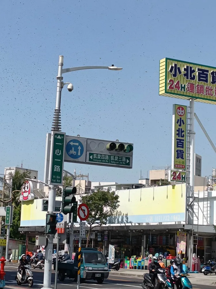 高雄一心凱旋交叉口今中午出現上萬隻蜜蜂在天空聚集的景象。讀者劉先生提供