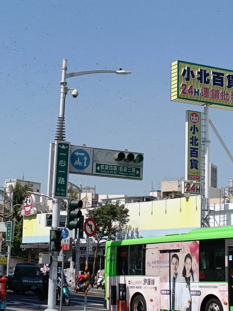 高雄一心凱旋交叉口今中午出現上萬隻蜜蜂在天空聚集的景象。讀者劉先生提供