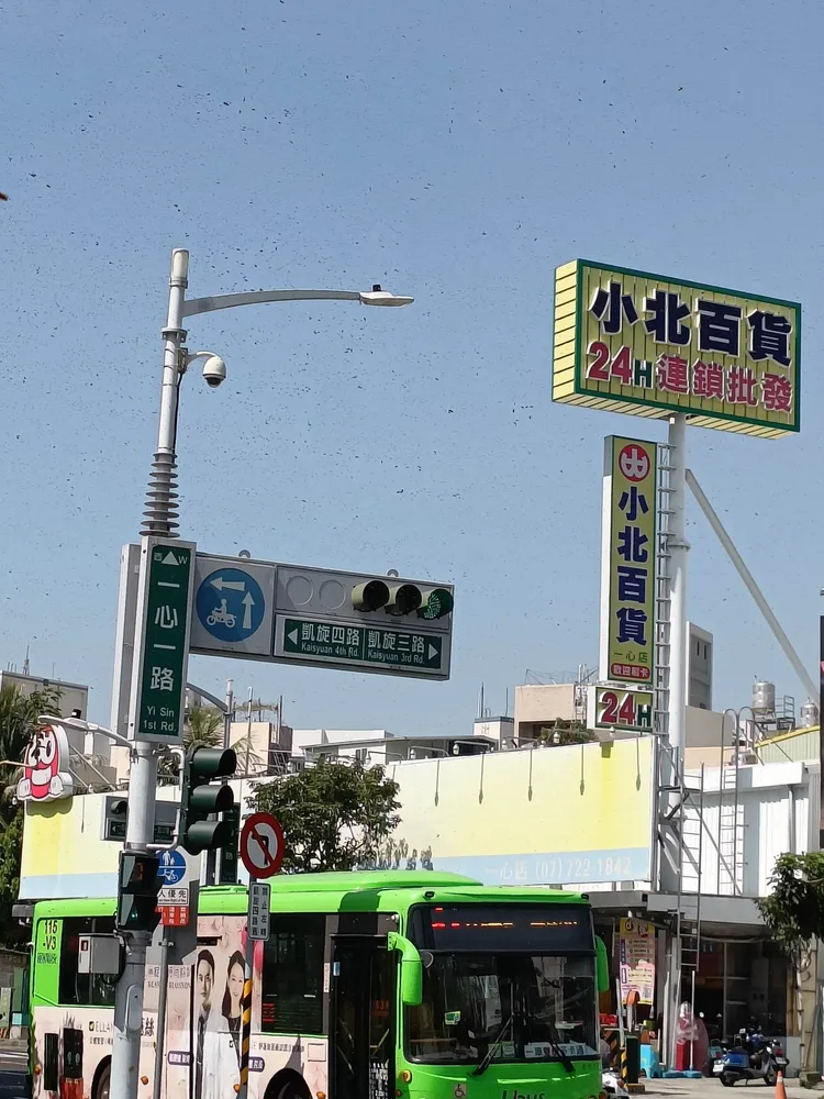 高雄一心凱旋交叉口今中午出現上萬隻蜜蜂在天空聚集的景象。讀者劉先生提供