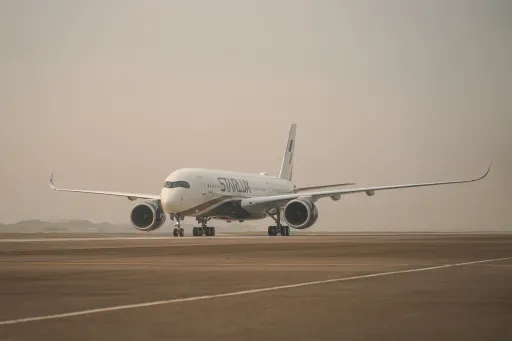 星宇航空股價7天狂飆一倍　他驚訝餐點「這部分」與別家不同