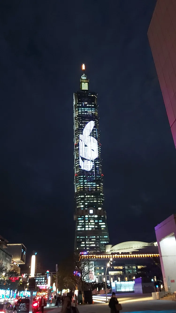 台北101成了全世界最高的花燈。莊宗達攝