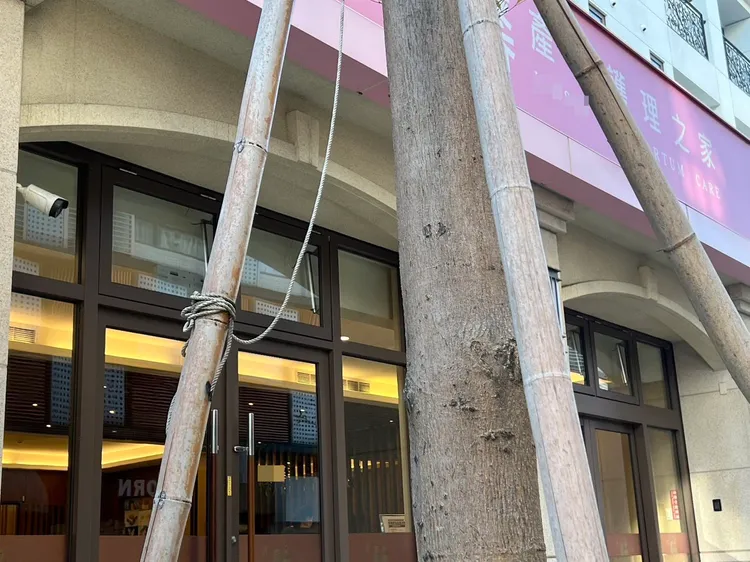 陳小姐產後帶著剛出生的兒子住進台中市這家產後護理之家。鮮明攝