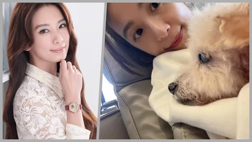 這個冬天太冷!田馥甄沒愛人就抱狗取暖 還甜戴這1物招桃花等脫單