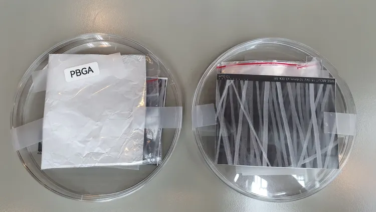 台大團隊研發的「電紡紗」人工角膜有神經修復功能。林芳如攝