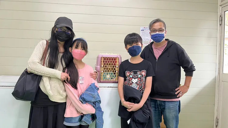 白先生一家以前曾認養照顧過一隻右後腳截肢的貓，網路上看到「哈吉」資訊後決定認養且全心全意照顧牠。動保處提供