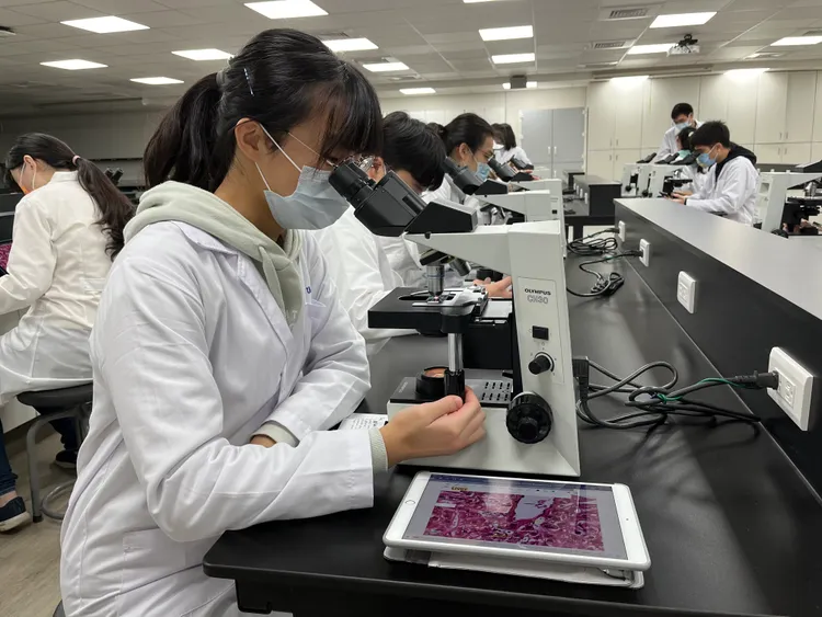 陽明交大電機系今年成立「醫學電資組」招生。校方提供