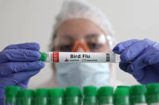 柬埔寨H5N1禽流感累計2確診 世衛憂疫情人傳人