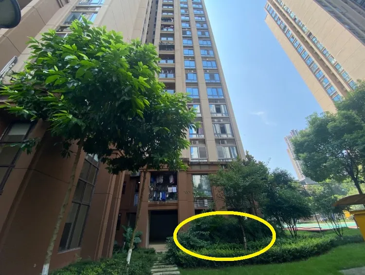 狠父張波將2歲的女兒與1歲的兒子從15樓扔到樓下致死（黃圈）。翻攝微博/重慶張波