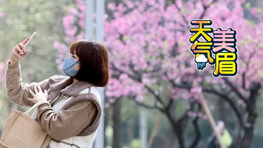 越晚越濕冷！ 8˚C強烈冷氣團午後來襲　228連假這天起轉乾回暖