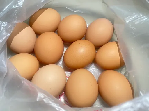 郭董轟政府鬧蛋荒　陳吉仲：感謝關心！凸顯糧食安全重要性