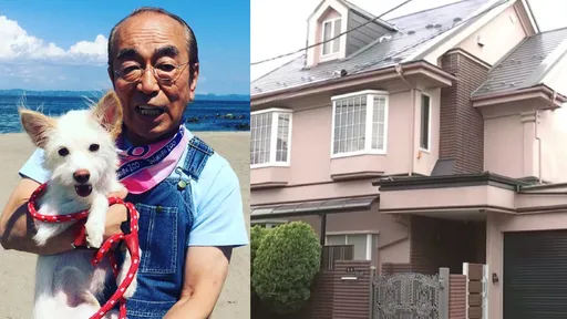 志村健染疫病逝3年!4億豪宅任野貓霸佔交配 家人不處置的原因曝光