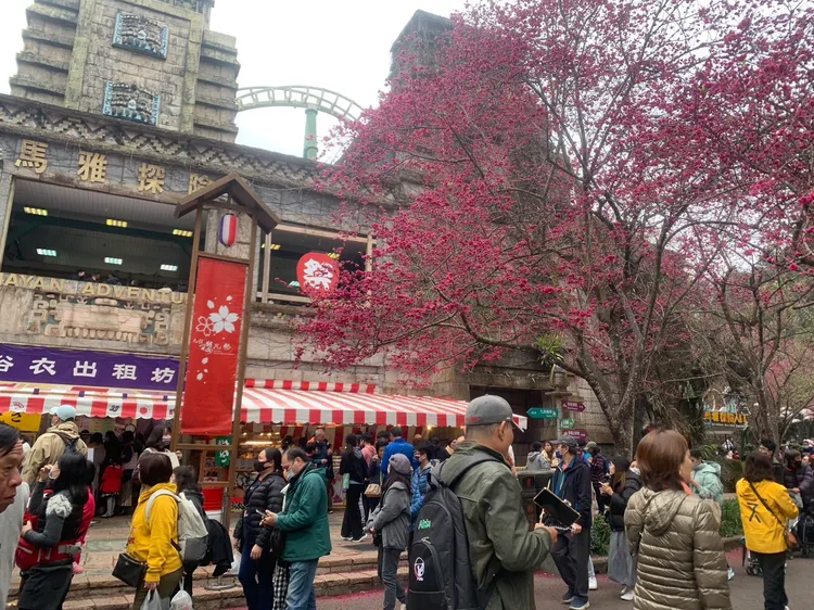 九族文化村遊客大爆滿。九族文化村提供