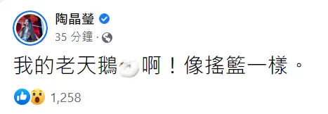 知名女主持人陶晶瑩也在粉絲頁上PO文被地震嚇了一跳。翻攝《陶晶瑩》粉絲頁
