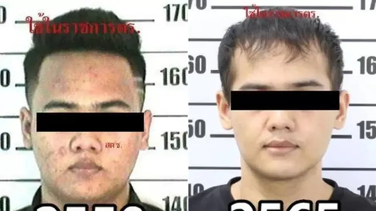 撒哈拉變臉前（左圖）後（右圖）的差別。翻攝自《紐約郵報》