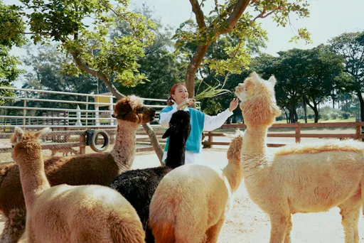 吳映潔回想「第一次」很小很小的時候　心臟快要吐出來！