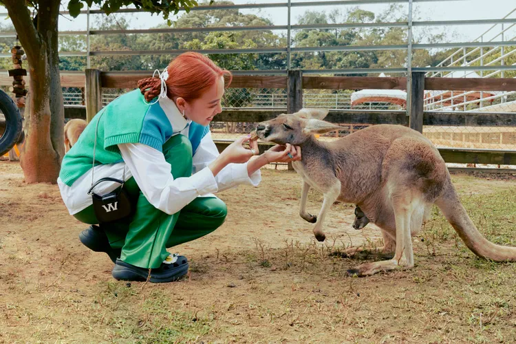 吳映潔在埔心牧場拍攝MV。吳映潔工作室提供