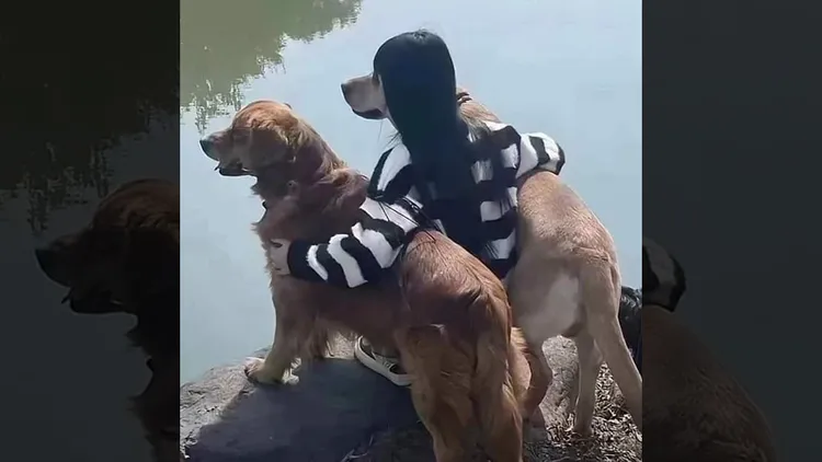 翻攝自「爆廢公社二館」