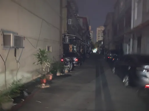 又是什麼動物？高雄左營區大停電　近兩千戶陷漆黑