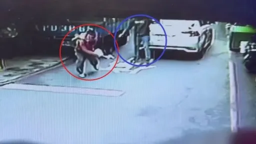 行車糾紛出無影腳被秒抓住 慘摔在地!新北「喔喔哥」哀號不斷