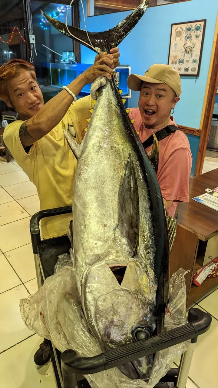 「南拳媽媽」彈頭簡直是被歌手耽誤的漁夫。本人提供