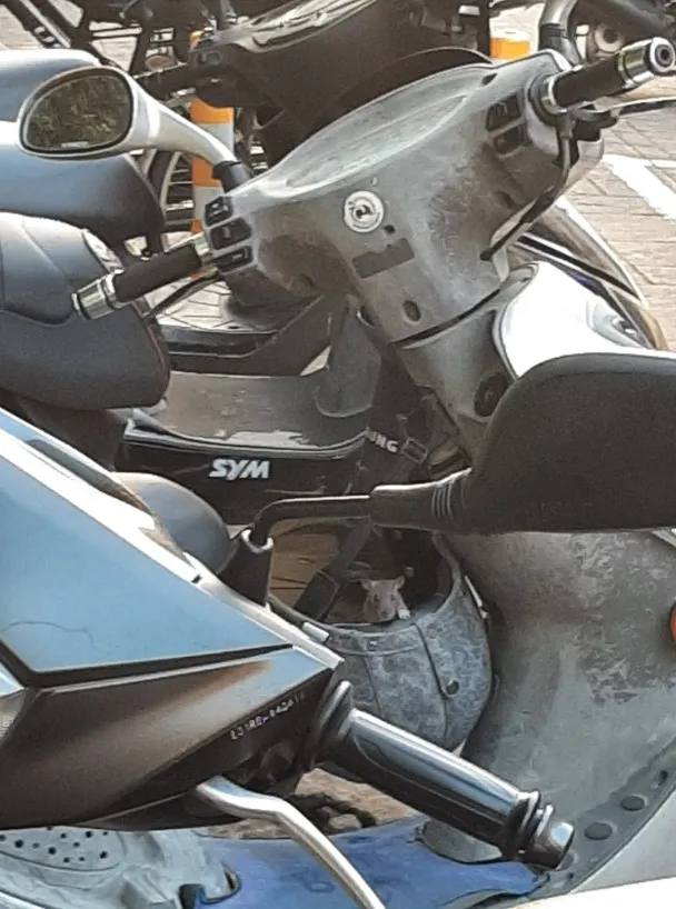 有網友說：「是真的應該不要掛在外面，因為你真的不知道有沒有動物爬進去過」。翻攝《路上觀察學院》社團