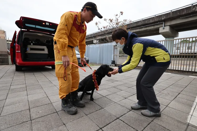 搜救犬Hugo不只有玩具還有雞腿吃。取自「台北市搜救隊」粉專