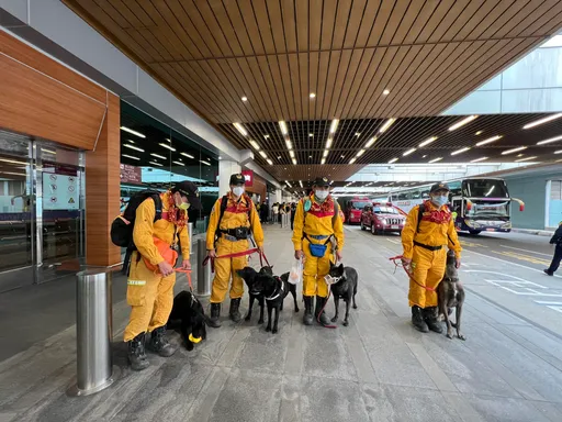 酸民退散！搜救犬機場喜獲玩具鴨鴨　樂翻「雀躍邁步」超萌