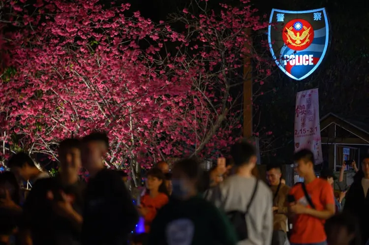 台中市大甲分局泰安派出所，種植超過70株八重櫻，贏得全台「最美派出所」美名。翻攝自TCPB 局長室臉書