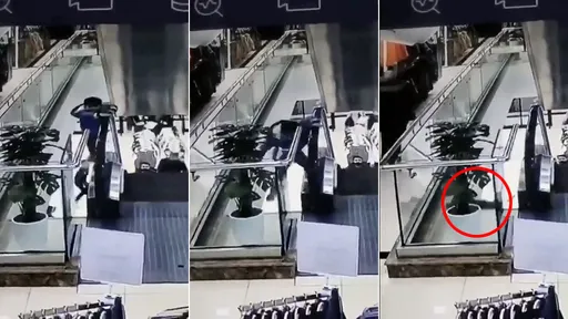 驚悚影片｜玩電扶梯「屁孩墜樓」　肉墊女被砸中頭部昏迷不醒