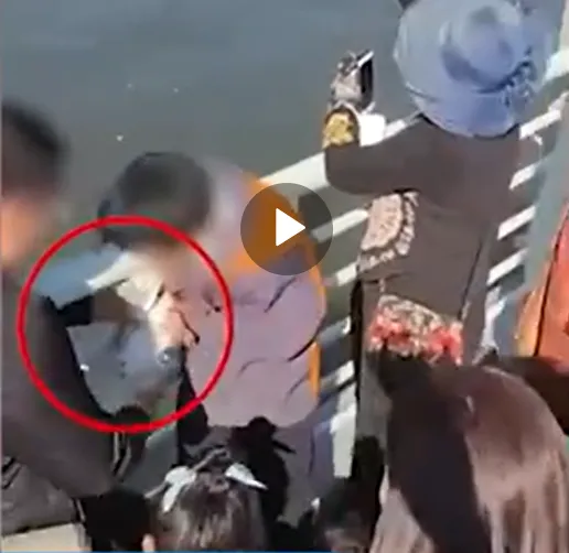 男童強抓海鷗塞寶特瓶，父母在一旁幫忙。微博