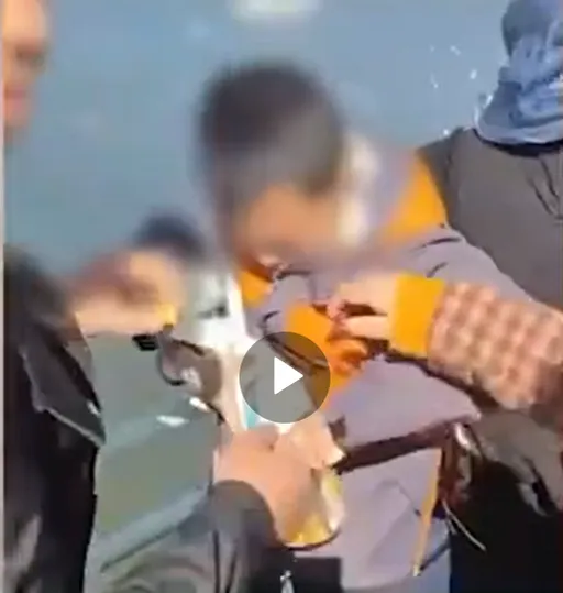 【文明出遊】男童凌遲海鷗硬塞寶特瓶 母教「抓牠翅膀」