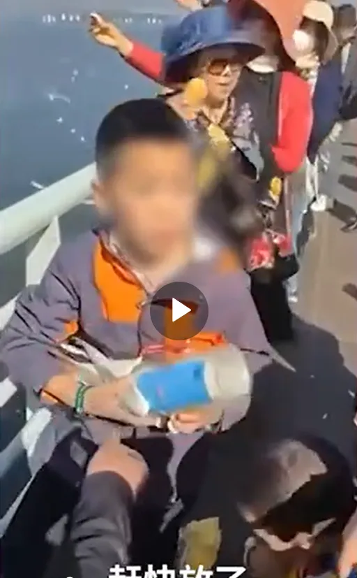 男童強抓海鷗塞寶特瓶，父母在一旁幫忙。微博