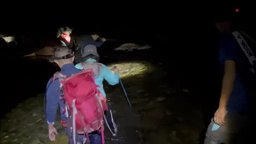 馬陵溫泉溯溪!台中女山友左腳扭傷 4消防跋山涉水7小時救援