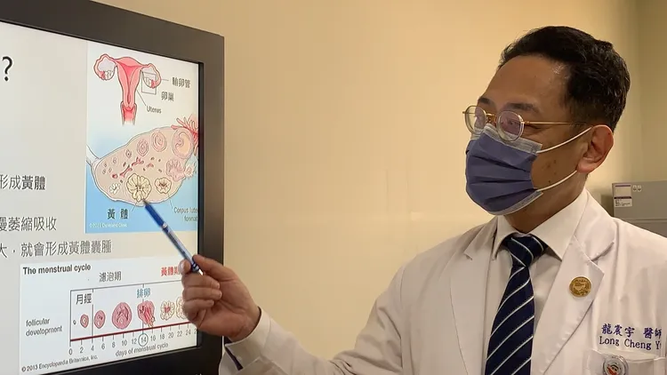 龍震宇指，臨床上收治黃體囊腫破裂個案，逾95%都是性行為衝撞所致。吳慧芬攝