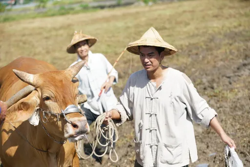 潘逸安《牛车来去》饱受牛脾气拖累 脚踩屎尿犁田钱难赚