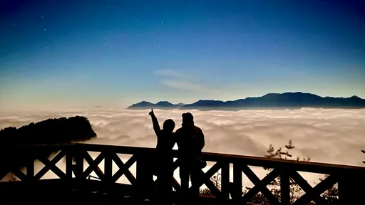情人節來「嘉」!星空雲海好浪漫 8大約會必訪景點充滿儀式感