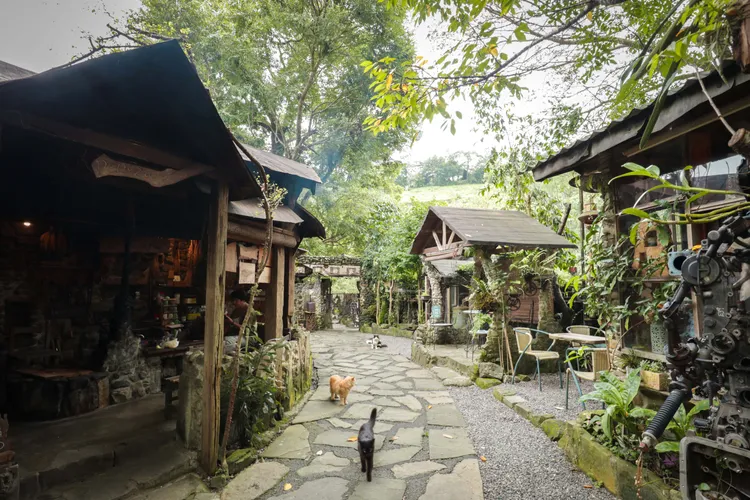 阿將的家23咖啡館。嘉縣府提供