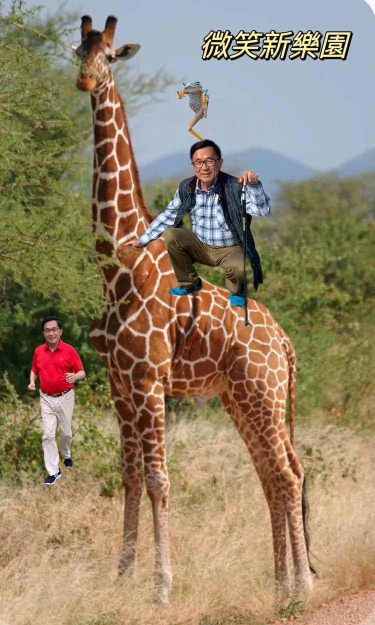 勇哥最新作品。引自陳水扁粉專《陳水扁新勇哥物語》