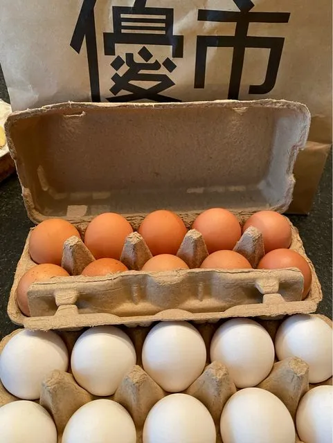 原PO拿到的漂亮雞蛋。翻攝自論壇PTT